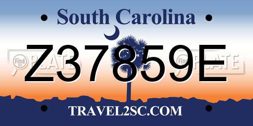 Z37859E South Carolina License Plate