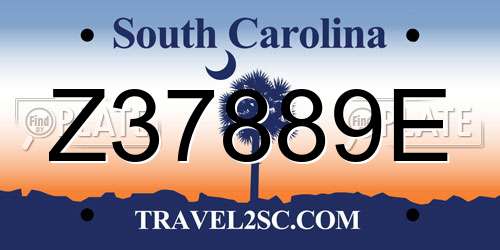 Z37889E South Carolina License Plate