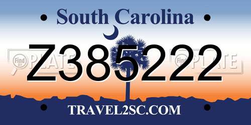 Z385222 South Carolina License Plate