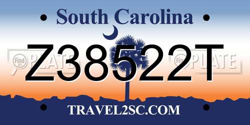 Z38522T South Carolina License Plate