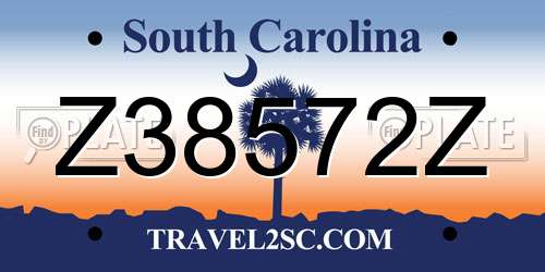 Z38572Z South Carolina License Plate