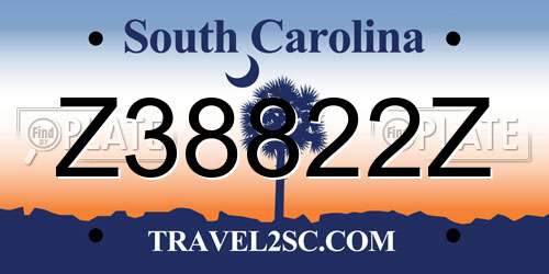 Z38822Z South Carolina License Plate