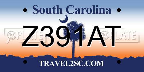 Z391AT South Carolina License Plate