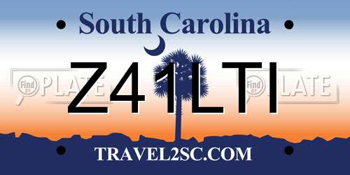 Z41LTI South Carolina License Plate