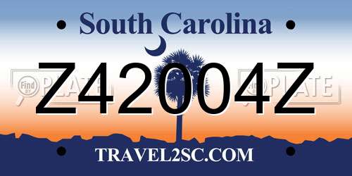 Z42004Z South Carolina License Plate