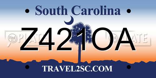 Z421OA South Carolina License Plate