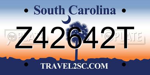 Z42642T South Carolina License Plate