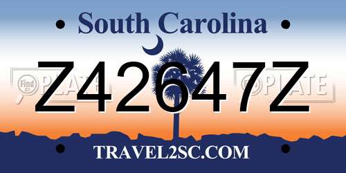 Z42647Z South Carolina License Plate