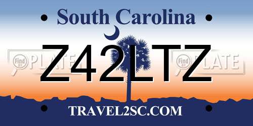 Z42LTZ South Carolina License Plate