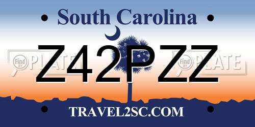 Z42PZZ South Carolina License Plate