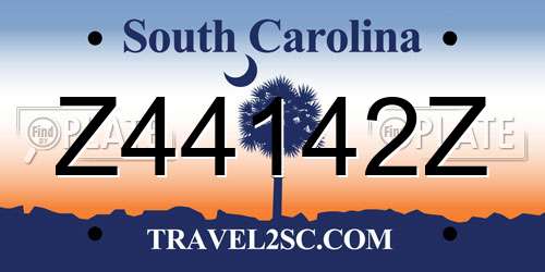 Z44142Z South Carolina License Plate