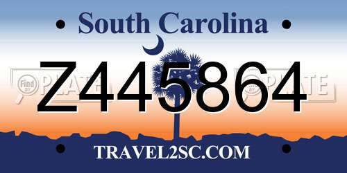 Z445864 South Carolina License Plate