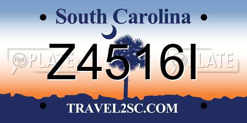 Z4516I South Carolina License Plate