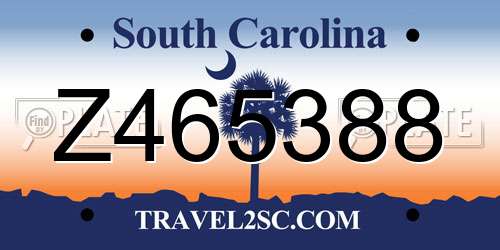 Z465388 South Carolina License Plate
