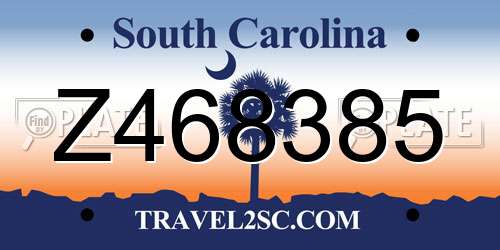 Z468385 South Carolina License Plate