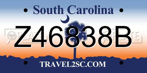 Z46838B South Carolina License Plate