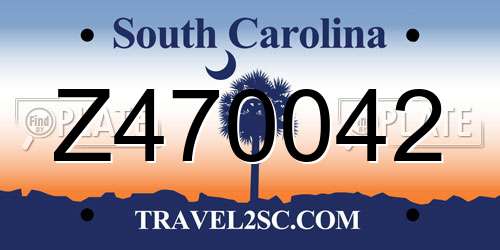 Z470042 South Carolina License Plate