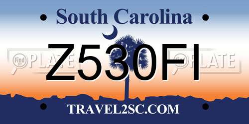 Z530FI South Carolina License Plate