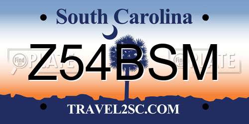 Z54BSM South Carolina License Plate