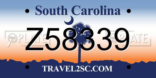 Z58339 South Carolina License Plate