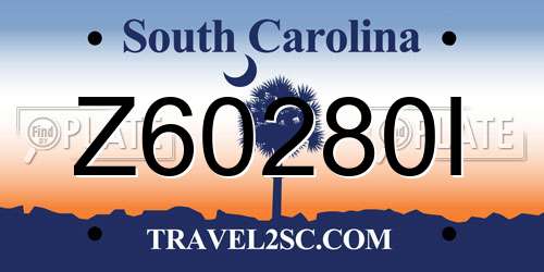 Z60280I South Carolina License Plate