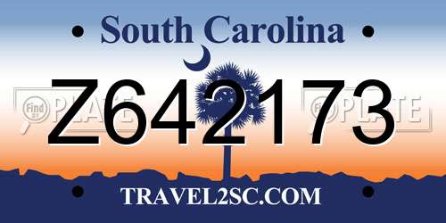 Z642173 South Carolina License Plate