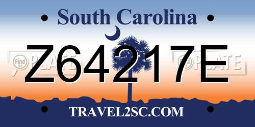 Z64217E South Carolina License Plate