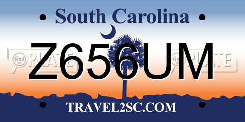 Z656UM South Carolina License Plate