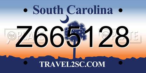 Z665128 South Carolina License Plate