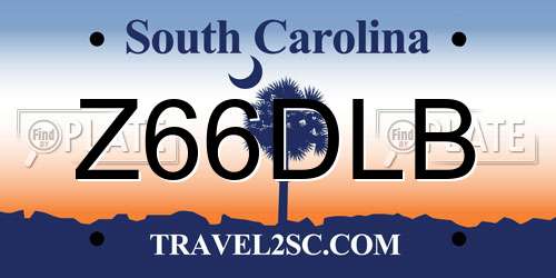 Z66DLB South Carolina License Plate