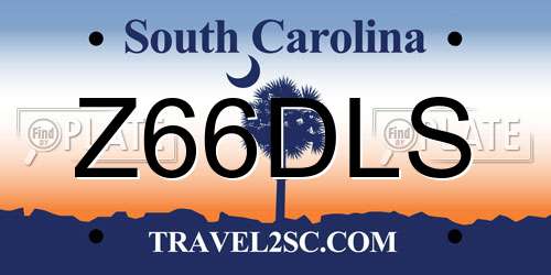 Z66DLS South Carolina License Plate