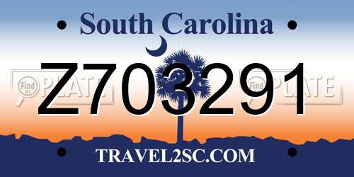 Z703291 South Carolina License Plate