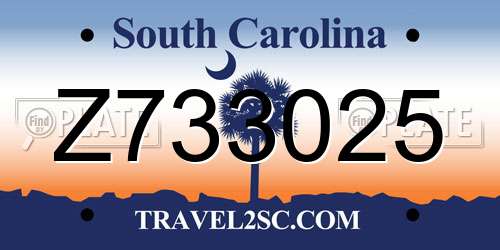 Z733025 South Carolina License Plate