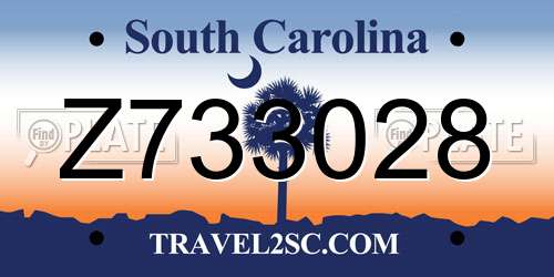 Z733028 South Carolina License Plate