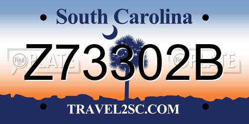 Z73302B South Carolina License Plate