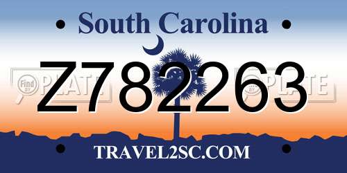Z782263 South Carolina License Plate