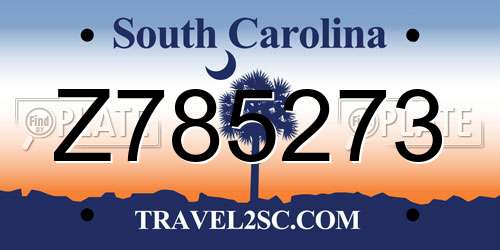 Z785273 South Carolina License Plate