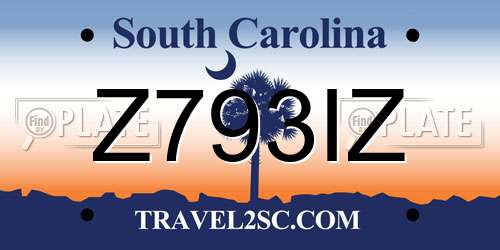 Z793IZ South Carolina License Plate