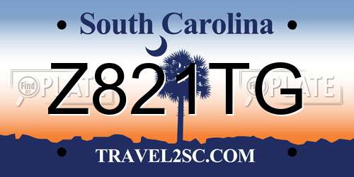 Z821TG South Carolina License Plate