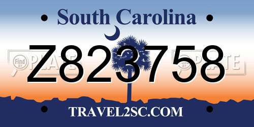 Z823758 South Carolina License Plate