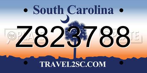 Z823788 South Carolina License Plate