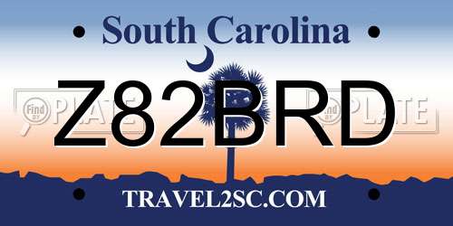 Z82BRD South Carolina License Plate