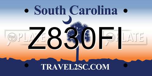 Z830FI South Carolina License Plate