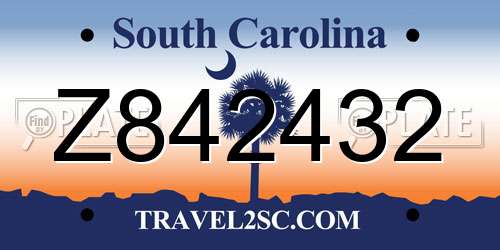 Z842432 South Carolina License Plate