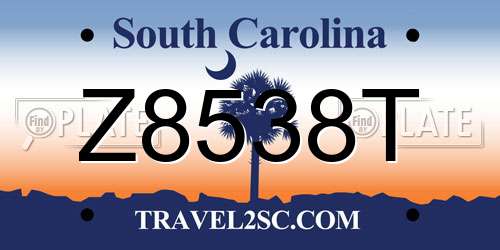 Z8538T South Carolina License Plate