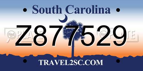 Z877529 South Carolina License Plate