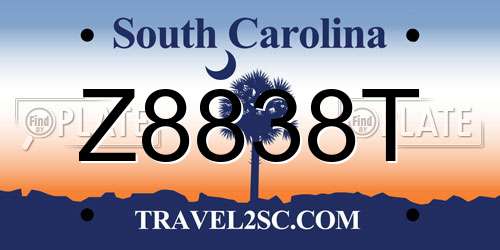 Z8838T South Carolina License Plate