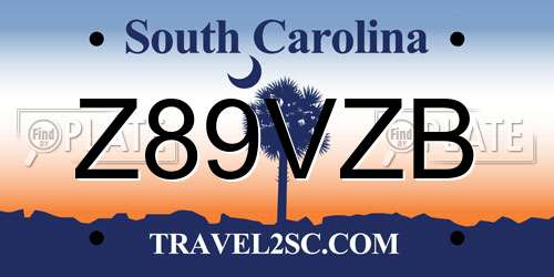 Z89VZB South Carolina License Plate