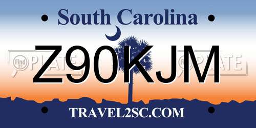 Z90KJM South Carolina License Plate