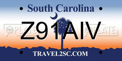 Z91AIV South Carolina License Plate